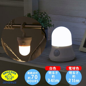 ハンガーセンサーライト | クローゼット用 掛ける照明 吊り式 照明 ライト センサーライト ライト 防水形 センサー式 ベランダ 階段 クローゼット LED ASL-3307 停電 非常時 水害 台風 地震 非常