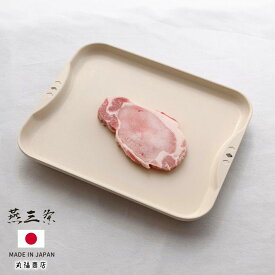 燕三条 解凍皿 Newクイッ君 安心の日本製 | 解凍プレート 急速解凍 急速冷凍 粗熱取りに 乗せるだけ 簡単解凍 アル 急速解凍 プレート 時短 肉 刺身 冷凍保存 お弁当 ごはん 冷ます 万能解凍皿 解凍トレー 解凍トレイ 解凍皿 冷凍保存 解凍板 自然解凍 日本製 国産