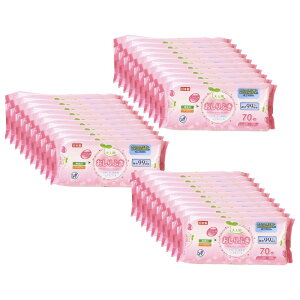 yȃP[Xzlp p [炾ӂ/ӂ] | 炾ӂV[g 唻 ̐@V[g 唻 EGbgeBbV EFbg^I ʂ^I pi hЃObY {fB^