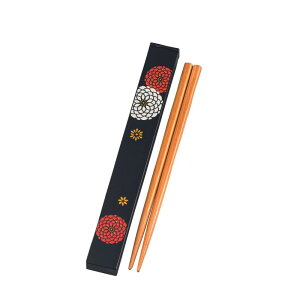 S { HAKOYA 18.0cm XNGAZbg | vX`bN ٓ g  P[X 킢  a a    [dqW Ή H@ Ή]