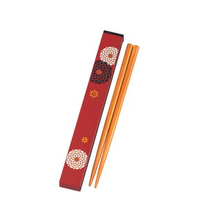 S { HAKOYA 18.0cm XNGAZbg | vX`bN ٓ g  P[X 킢  a a    [dqW Ή H@ Ή]