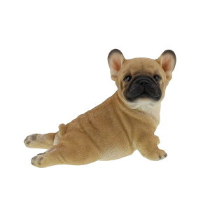 pO(Xgb`) | pO t`u ViEU[ Vo LoA  u l`