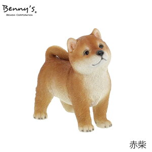 Vo | Č Vo QB029 Ԏ Vo e 173cm102cm173cm d510g 173102H173cm fރ|W Bennysxj[Yg u   K[f v[g Aj}  IuWF GNXeA 