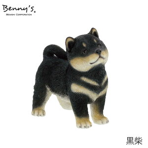 Vo | Č Vo QB029 Ԏ Vo e 173cm102cm173cm d510g 173102H173cm fރ|W Bennysxj[Yg u   K[f v[g Aj}  IuWF GNXeA 
