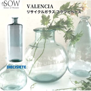 VALENCIA TCNKX t[x[X DIECISIETE | t[x[X ԕr KX k  TCNKX NA SOW 傫 CeA Ԋ   rO e[p[h Q O