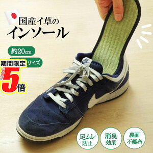 y |Cg5{ z [J[i  C\[ LbY ~ 20cm | L C SC vC h~ Xj[J[ u[c Ռz ʕsDz NbV Y fB[X 17cm 18cm 19cm 