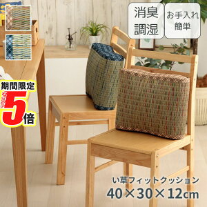 y |Cg5{ z [J[i NbV w  `FbN ` 40×30×12cm | C  Iu CX `FA  z  C ȒP NbV Vv