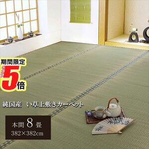 y |Cg5{ z [J[i   ~  {8 382×382cmb Y  ~ J[ybg oڐD wx O 炮 O}bg }bg J[ybg}bg ~ O~ 