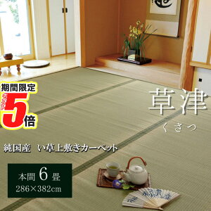 【 ポイント5倍 】 メーカー直送品 い草 上敷きカーペット 本間6畳 約286×382cm | 抗菌 防臭 調湿機能付き 草津 リビング 両面使用 イ草 上敷 フロアマット 草津 双目織 イ草 上敷き 上敷 国産 日