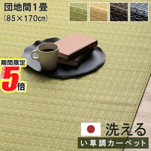 【 ポイント5倍 】 メーカー直送品 ラグ カーペット パーソナルタイプ バルカン 団地間1畳 約85×170cm | 日本製 洗える 絨毯 じゅうたん マット ホコリがでにくい 洗浄可能 清潔 除菌 除菌スプ
