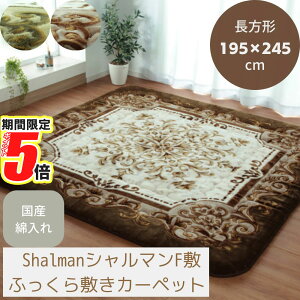 y |Cg5{ z [J[i O}bg ~zc  ` 195×245cm | O  ~zc ~ ~ R^czc x J[ybg n Vv { Ŗ40mmgp e