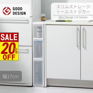 y X[p[Z[ z XXg[Wg[XgbJ[3i [[t | 17cm Ԏ[ X XgbN Lb`[ ①ɉ ʏ h[[ @ S [[ {g