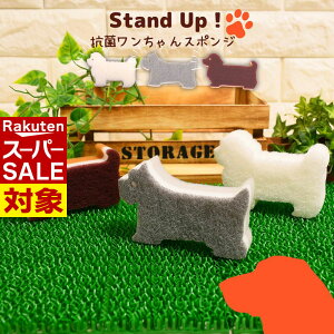 y X[p[Z[ z Stand UP Lb`X|W | A ؂ A؂ ǂ Lb` X|W 䏊 H R v C  ObY   Aj}G mg[ 