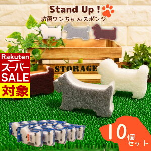 y X[p[Z[ z 10Zbg Stand UP Lb`X|W | A ؂ A؂ ǂ Lb` X|W 䏊 H R v C  ObY   Aj}