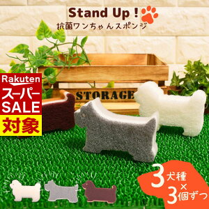 y X[p[Z[ z  3×e3Zbg Stand UP Lb`X|W | A ؂ A؂ ǂ Lb` X|W 䏊 H R v C  ObY   A