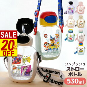 y X[p[Z[ z  Xg[{g LN^[ 530ml | vbV Xg[ {g LN^[ NA y vX`bN 퉷 q LbY ⋋  ʉ o  