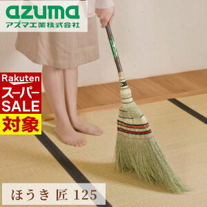 y X[p[Z[ z ق  125 SF82cm |  Z ׂ߃zEL XL} zEL VRf X z[L Ԃ̃zR   TbV Ƌ  x_| | |pi G