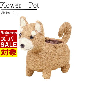 y X[p[Z[ z ̉||bg Č 3 | K[fjO |  A  ϗtA K[fjO  x_ eX O ƒ؉ t[|bg  v^[ A Aؔ 