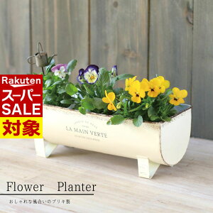 y X[p[Z[ z K[fG uL̃v^[ zCg Ci[t | K[fjO |  A  ϗtA K[fjO  x_ eX O ƒ؉ t[|bg 