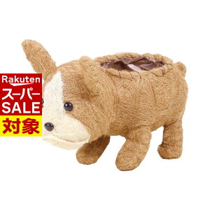 y X[p[Z[ z ̉||bg uhbN 2.5/3/4 | K[fjO |  A  ϗtA K[fjO  x_ eX O ƒ؉ t[|bg  v^[ A