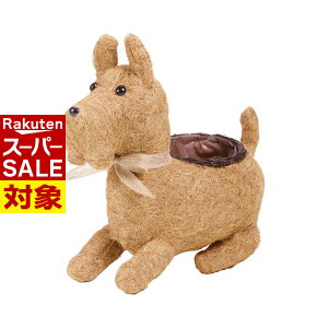 y X[p[Z[ z ̉||bg ViEU[ 3/3.5/4 | K[fjO |  A  ϗtA K[fjO  x_ eX O ƒ؉ t[|bg  v^[ 