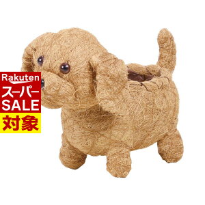 y X[p[Z[ z ̉||bg v[h 3 uE/zCg | K[fjO |  A  ϗtA K[fjO  x_ eX O ƒ؉ t[|bg  v^