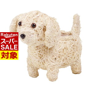 y X[p[Z[ z ̉||bg v[h 3 uE/zCg | K[fjO |  A  ϗtA K[fjO  x_ eX O ƒ؉ t[|bg  v^