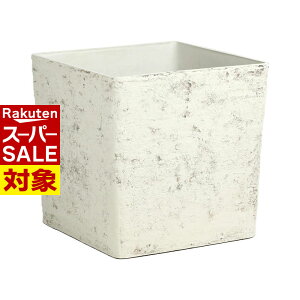 y X[p[Z[ z xvX`bN | ϕHZ ό󐫁Z iȌ AbV/zCg | K[fjO |  A  ϗtA K[fjO  x_ eX O ƒ