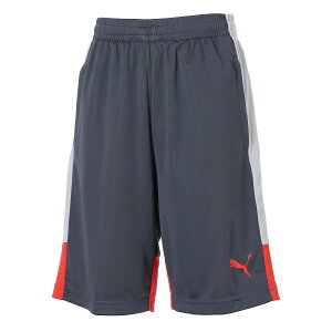 �v�[�} (PUMA) INDIVILIGA TR �V���[�c JR �T�b�J�[ �W���j�A�Q�[���p���c �W���j�A Gray Echo-Dusky Gray-PUMA Red 66097401