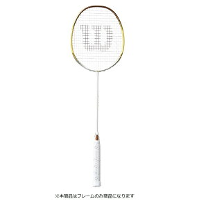 �E�B���\�� (WILSON) FIERCE CX9700 BMTN 2 �y�t���[���̂݁z�o�h�~���g�����P�b�g G5 WR099111S2
