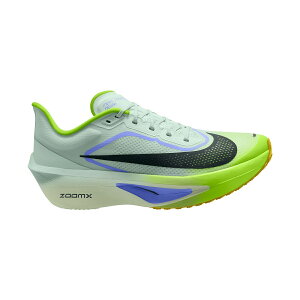 �i�C�L (NIKE) �i�C�L �Y�[�� �t���C 6 �����j���O �����Y�����j���O�V���[�Y �����Y BRLYGR/BLKSPC FN8454-300