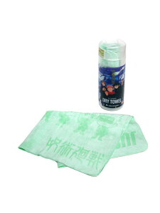 �A�N�A�����O (AQUA LUNG) �W���W���c�J�C�Z���@��AQUASPHERE�@DRYTOWEL�@�Z�C���^�I�� �X�C�~���O �^�I�� GRN 231105