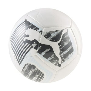 �v�[�} (PUMA) �C���f�B�r�W���A�����[�K �O���t�B�b�N �{�[�� �T�b�J�[ 5���{�[�� �����Y 5 PUMA White-Mint Jelly-Gray Echo 08494802