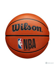 �E�B���\�� (WILSON) NBA DRV PRO �o�X�P�b�g�{�[�� 7��(NBA DRV PRO BSKT SZ7) �o�X�P�b�g�{�[�� 7���{�[�� �����Y 7 �u���E�� WTB9100XB07