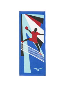 MIZUNO(~Ym)FtFCX^Ii싅j