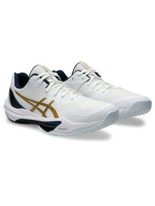 �A�V�b�N�X (ASICS) SKY ELITE FF 3 �o���[�{�[�� �V���[�Y ���[�J�b�g �����Y BLACK/PURE SILVER 1051A080.001
