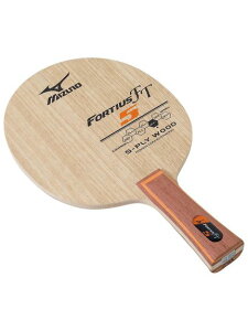 MIZUNO(~Ym)FORTIUS FT5