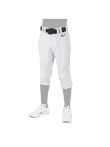 MIZUNO(~Ym)WjAEGACHIjtH[pc@M[^Cv(qU2d)