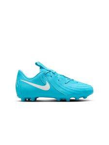 NIKE(iCL)iCL WjA t@g GX II AJf~[ HG