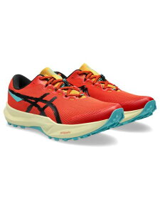 ASICS(�A�V�b�N�X)Fuji Lite 6