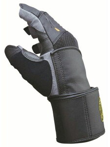 GOLD'S GYM(S[hW)GGP G3432 vAeB}O[u