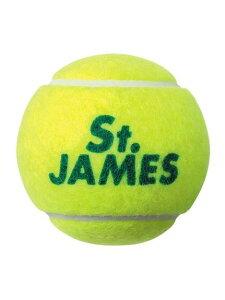 _bv DUNLOP ZgWF[X4 PbgX|[c ejX{[ jZbNX STJAMESJ4TIN 23