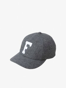 THE NORTH FACE(UEm[XEtFCX)TNF Logo Flannel Cap (TNFStlLbv)