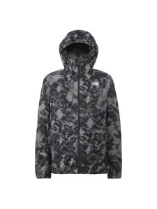 THE NORTH FACE(UEm[XEtFCX)NOVELTY SWALLOWTAIL VENT HOODIE(mxeB[X[eCxgt[fB)