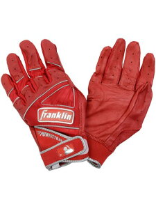 FRANKLIN(tN)FRANKLIN tN POWERSTRAP CHROME p[XgbvN[