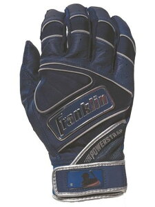 FRANKLIN(tN)POWERSTRAP CHROME p[XgbvN[