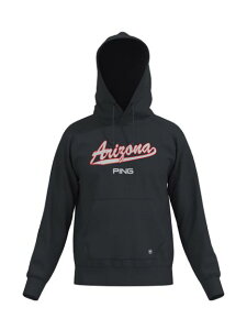 PING(s)A]iSvg|GXeуt[fB[