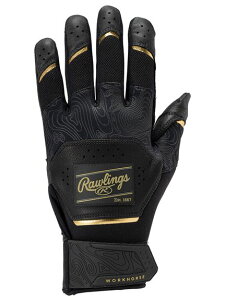 Rawlings(���[�����O�X)����p Workhorse �o�b�e�B���O�O���[�u - �u���b�N