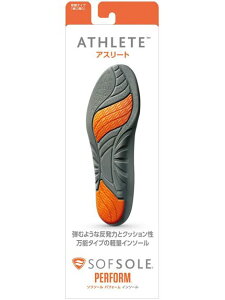 \t\[ SOFSOLE AX[g@STCY jO C\[ jZbNX