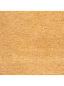 DULTON(_g)MULTI CLOTH SOLID COLOR F SUNBEAM